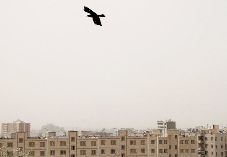 تصویر تصویر