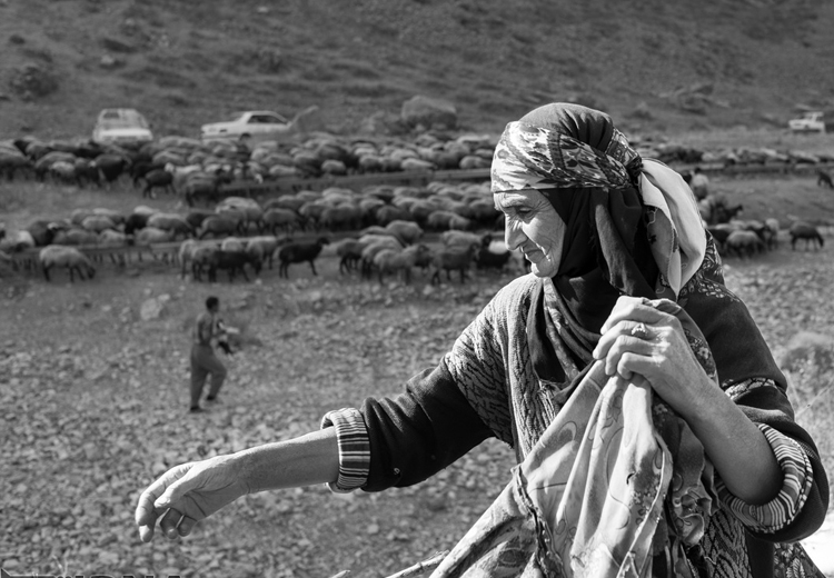 تصویر تصویر