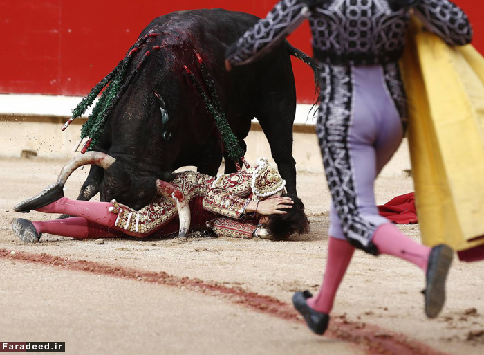 (تصاویر) نبرد خونین ماتادور 19ساله و گاوخشمگین (تصاویر) نبرد خونین ماتادور 19ساله و گاوخشمگین