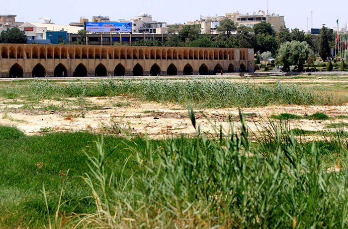 (تصاویر) زاینده رود سبز شد (تصاویر) زاینده رود سبز شد