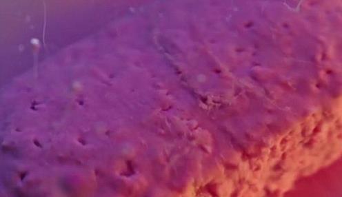 (تصاویر)چه اتفاقی برای قرصها در معده می افتد؟ (تصاویر)چه اتفاقی برای قرصها در معده می افتد؟
