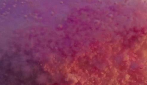 (تصاویر)چه اتفاقی برای قرصها در معده می افتد؟ (تصاویر)چه اتفاقی برای قرصها در معده می افتد؟