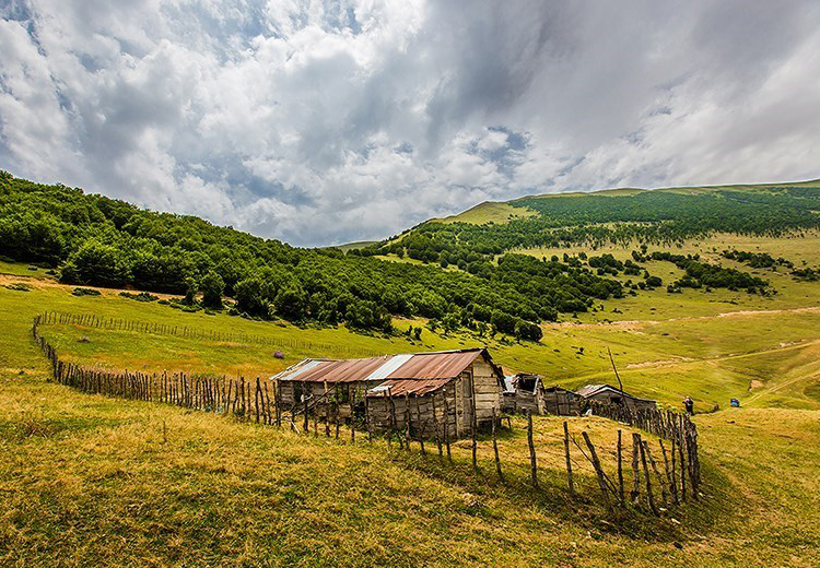 تصویر تصویر