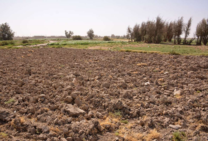 (تصاویر) آبیاری زمین با آب فاضلاب در سیستان (تصاویر) آبیاری زمین با آب فاضلاب در سیستان