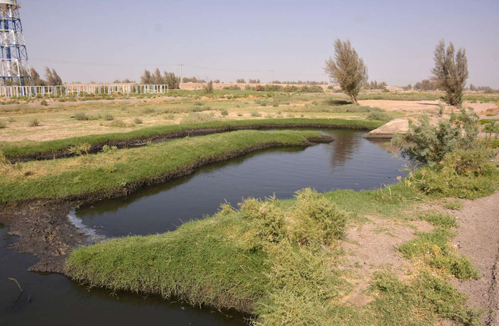 (تصاویر) آبیاری زمین با آب فاضلاب در سیستان (تصاویر) آبیاری زمین با آب فاضلاب در سیستان