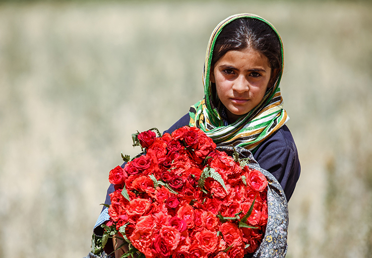 تصویر تصویر