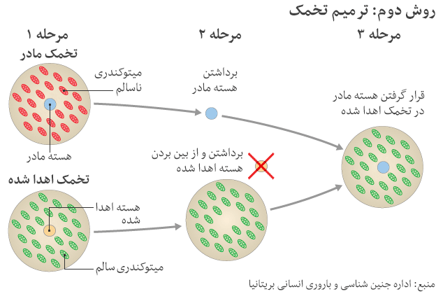 نخستین نوزاد با ۳ والد به دنیا آمد