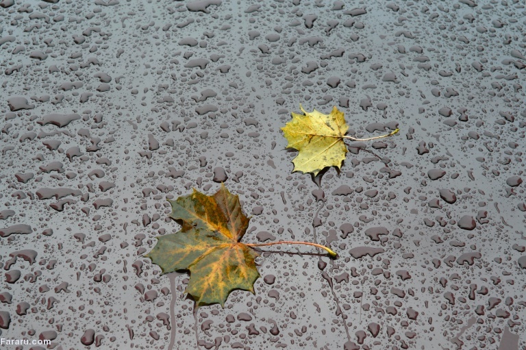تصویر تصویر