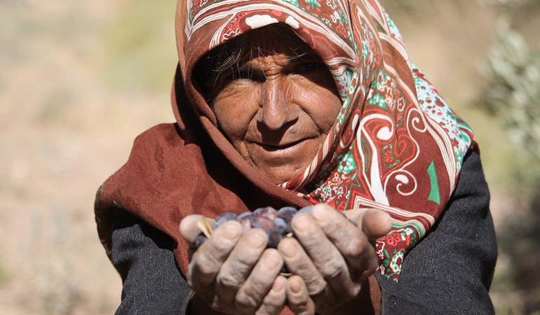 تصویر تصویر