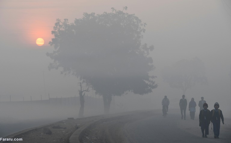 تصویر تصویر