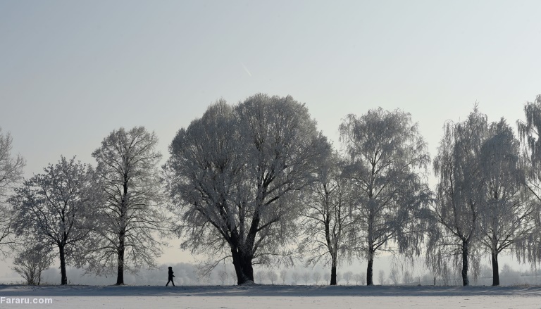 تصویر