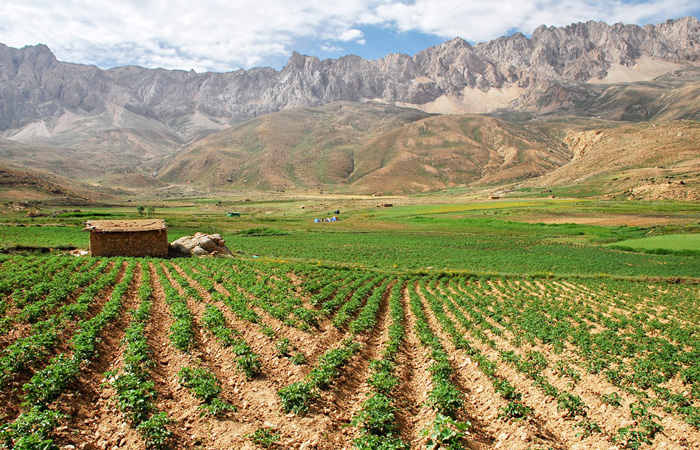 (تصاویر) گزارش (تصاویر) گزارش