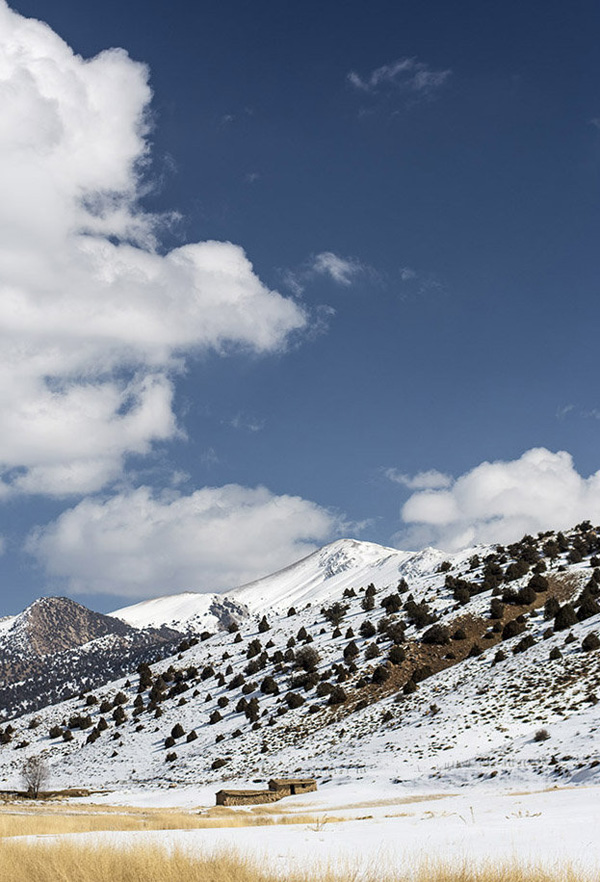 (تصاویر) گزارش (تصاویر) گزارش