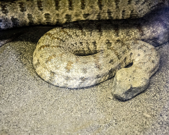 (تصاویر) گزارش 