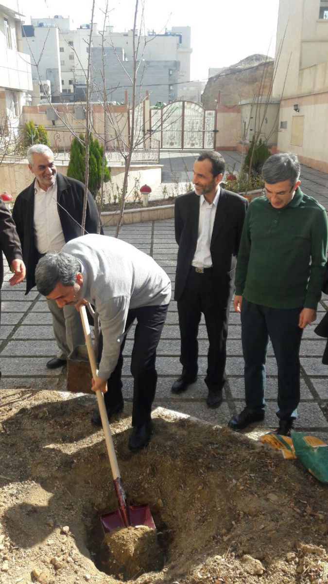 کاشت نهال توسط احمدی نژاد، بقایی و مشایی