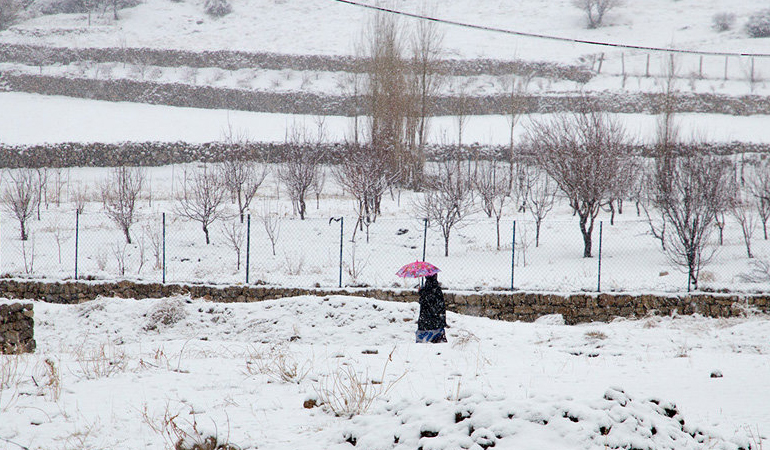 تصویر تصویر