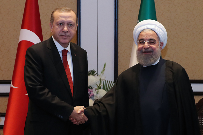 (تصاویر) دیدار روحانی و اردوغان