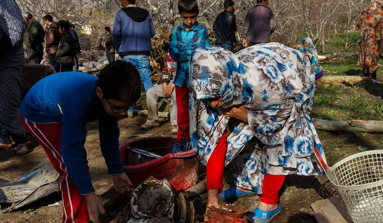 تصویر تصویر