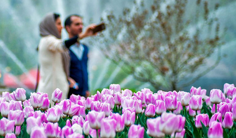 تصویر تصویر