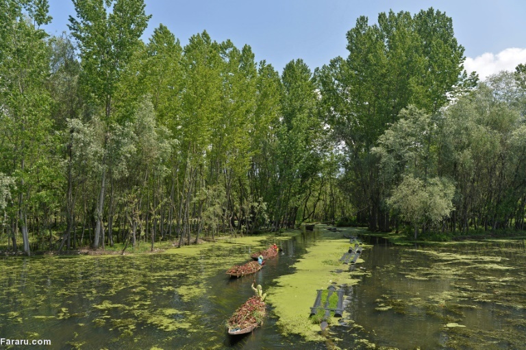 تصویر