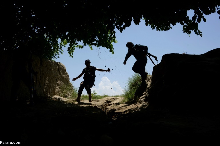 تصویر تصویر