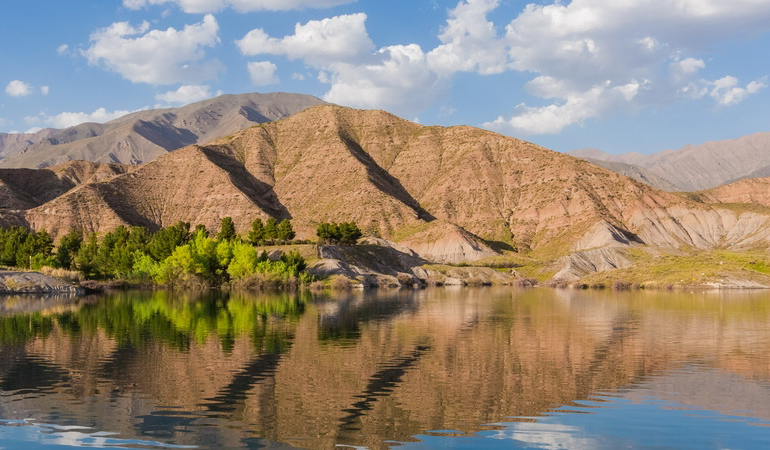 تصویر تصویر