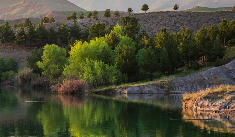 تصویر تصویر