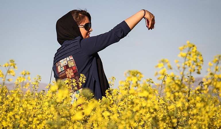 تصویر تصویر