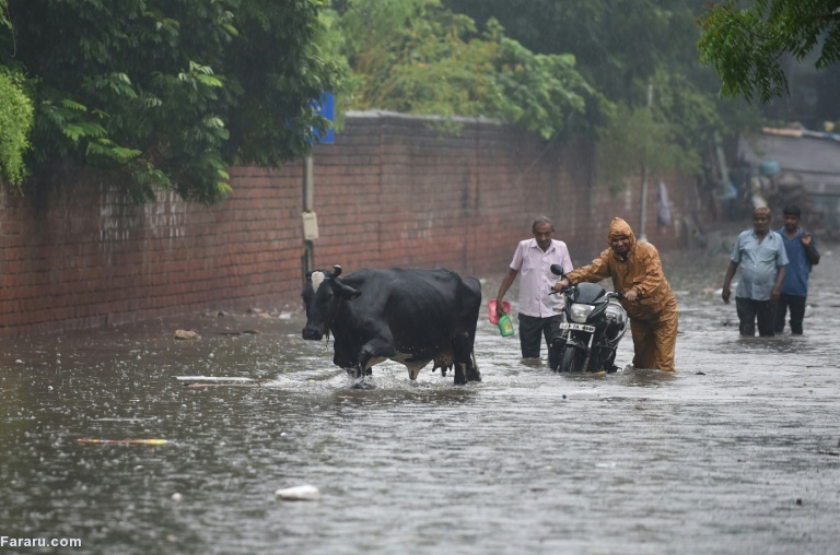 تصویر تصویر