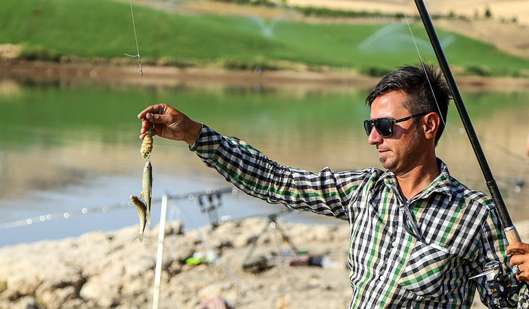 تصویر تصویر