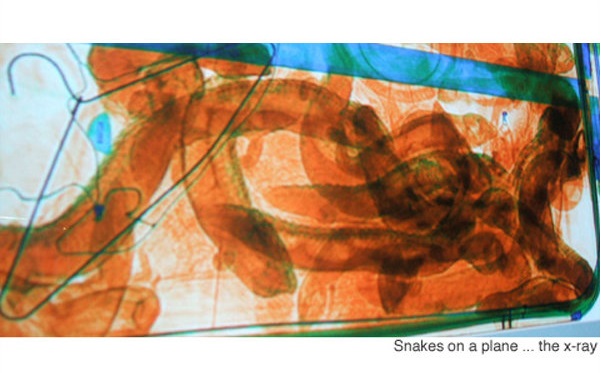 عجیب‌ترین چیزهایی که در هواپیما کشف شد!