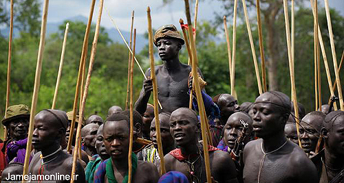 در دنیای آدمخواران چه می گذرد!؟