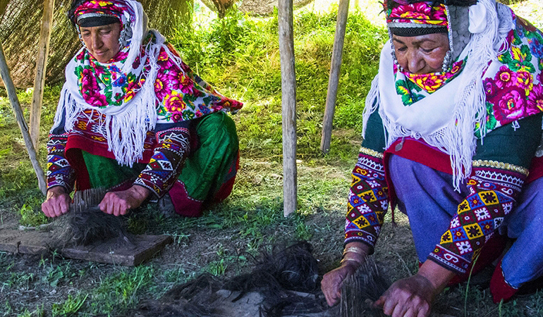 تصویر تصویر