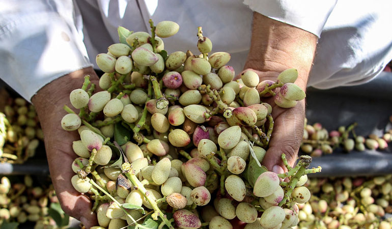 تصویر تصویر