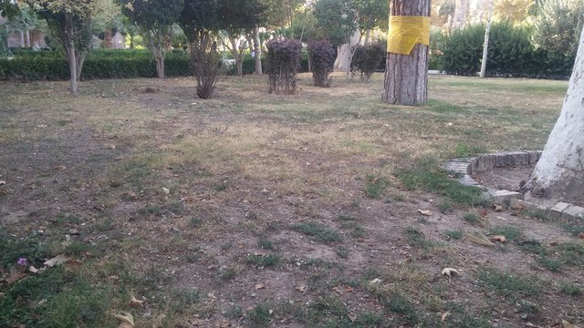 فاجعه در کاخ گلستان! فاجعه در کاخ گلستان!