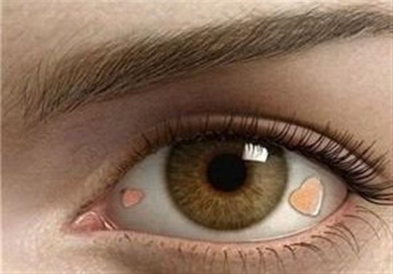 (تصاویر) علاقه جدید و عجیب میلیونرهای تهرانی (تصاویر) علاقه جدید و عجیب میلیونرهای تهرانی