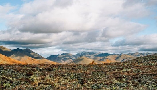 (تصاویر) کاشفانی که توسط آدمخوار‌ها خورده شدند