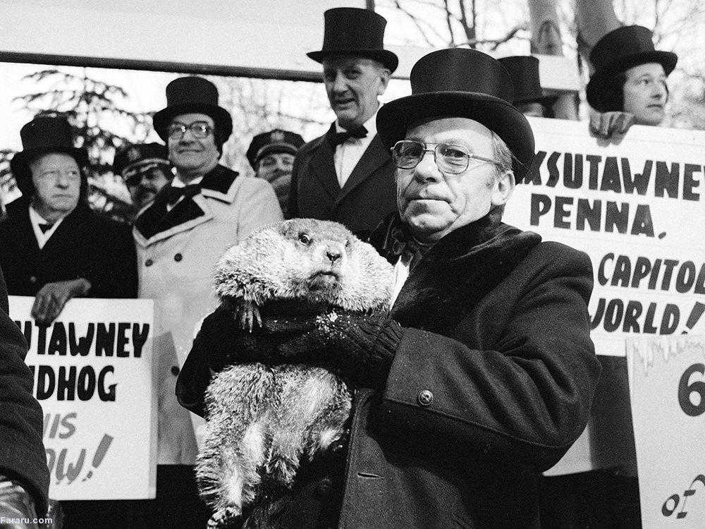 (تصاویر) پیش‌بینی آب و هوا با موش‌خرما!