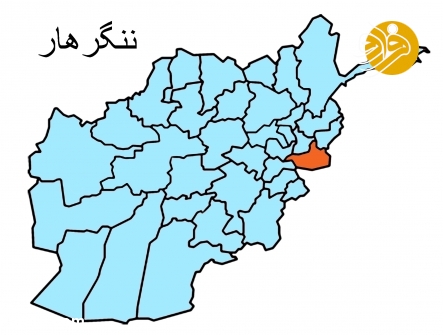 ثروت میلیون دلاری 
