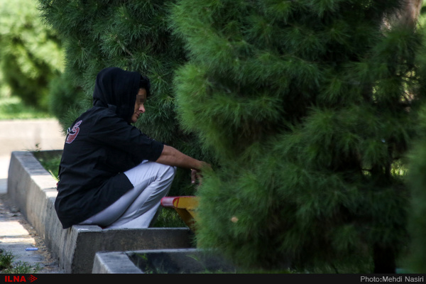 پارکی در تهران که مصرف مواد در آن آزاد است! پارکی در تهران که مصرف مواد در آن آزاد است!