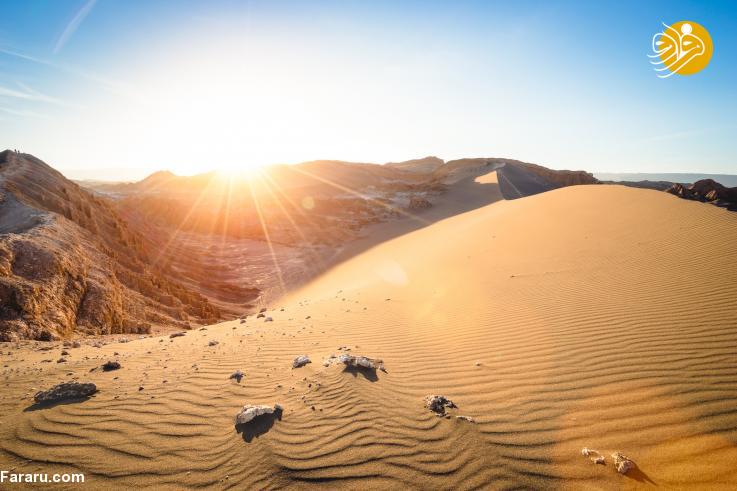 بارش باران پس از ۵۰۰ سال زندگی را در این بیابان از بین برد بارش باران پس از ۵۰۰ سال زندگی را در این بیابان از بین برد