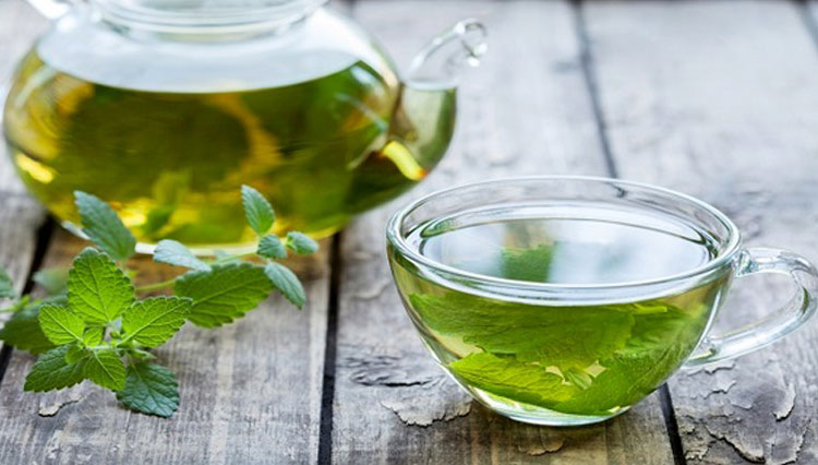 پونه کوهی یک آنتی بیوتیک قوی پونه کوهی یک آنتی بیوتیک قوی