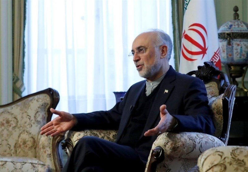 صالحی: اگر نتوانیم نفتمان را بفروشیم، ماندن در برجام مفید نیست صالحی: اگر نتوانیم نفتمان را بفروشیم، ماندن در برجام مفید نیست