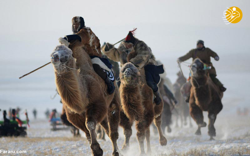 (تصاویر) از شترسواری تا رقص در جشنواره زمستانی مغول‌ها