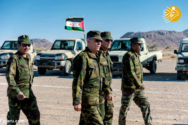 (تصاویر)