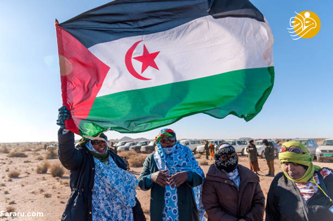 (تصاویر)