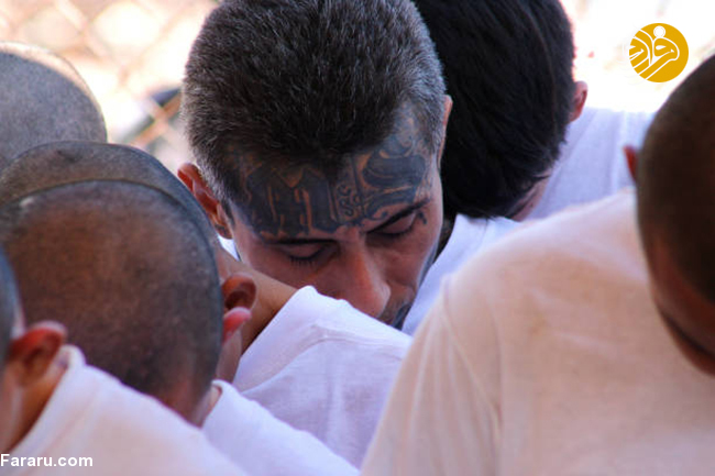 (تصاویر)