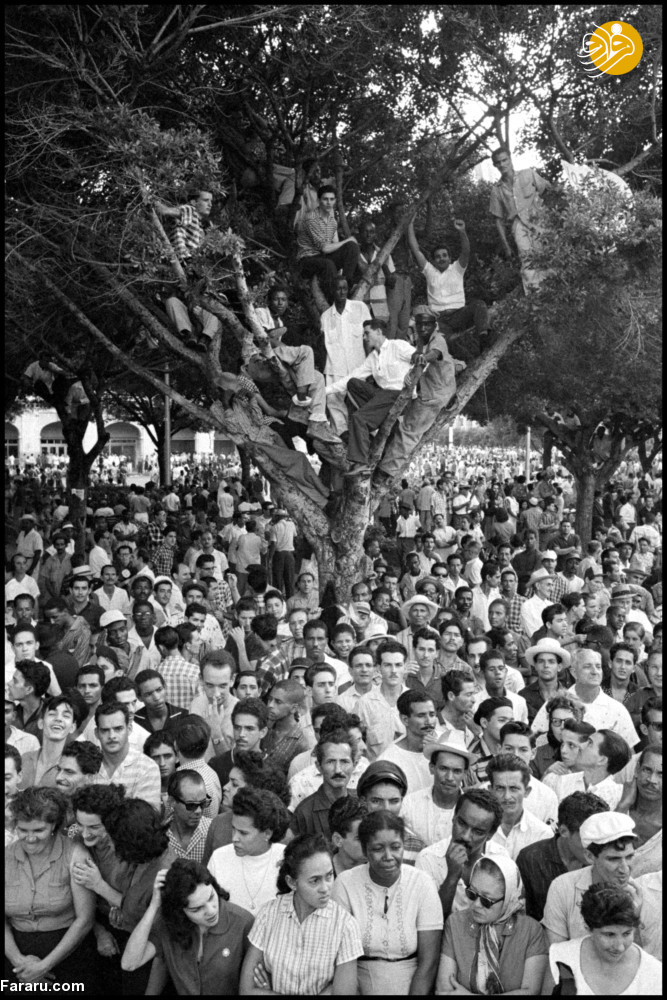 (تصاویر)