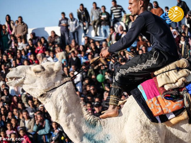 (تصاویر) جشنواره صحرا