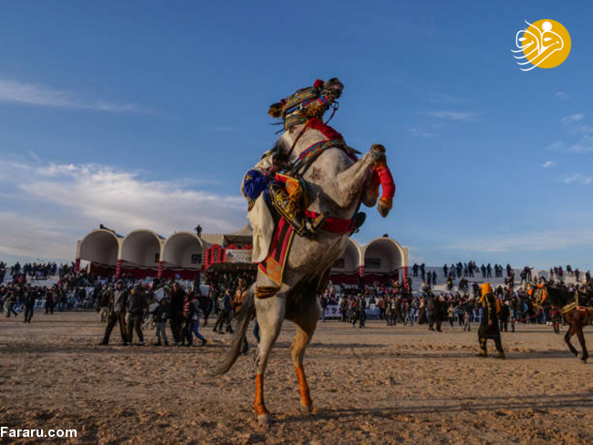 (تصاویر) جشنواره صحرا